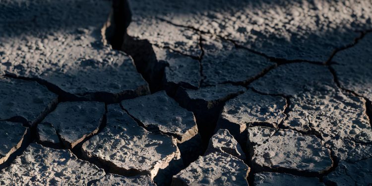 The Importance of Asphalt Crack Sealer: Protecting Your Pavement Investment