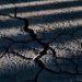 The Importance of Asphalt Crack Sealer: Protecting Your Pavement Investment