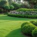 Do You Really Need Professional Landscape in Cullman County AL or Can You Do It Yourself?