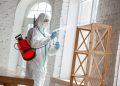 Safeguarding Your Property: A Guide to Mold Removal in Manhattan