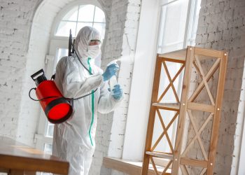 Safeguarding Your Property: A Guide to Mold Removal in Manhattan