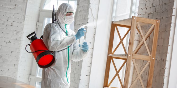 Safeguarding Your Property: A Guide to Mold Removal in Manhattan
