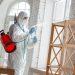 Safeguarding Your Property: A Guide to Mold Removal in Manhattan