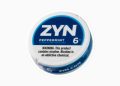 Top Zyn Pouch Flavours You Need to Try in Canada: A Flavorful Guide