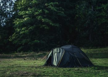 The Secret to Finding Quiet RV Parks Near Me During Peak Season