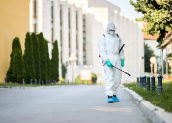 Why Hiring an Expert Pest Control Company is Crucial for Your Home and Yard