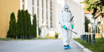 Why Hiring an Expert Pest Control Company is Crucial for Your Home and Yard