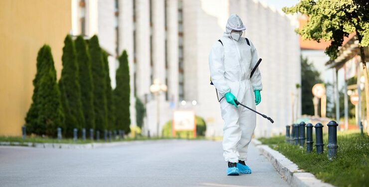 Why Hiring an Expert Pest Control Company is Crucial for Your Home and Yard