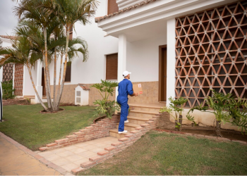 How Simple Home Repairs Can Keep Pests Away in Federal Way