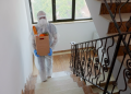 Reliable Pest Control in Eagle ID: Keeping Your Home and Family Safe