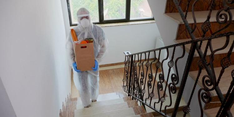 Reliable Pest Control in Eagle ID: Keeping Your Home and Family Safe