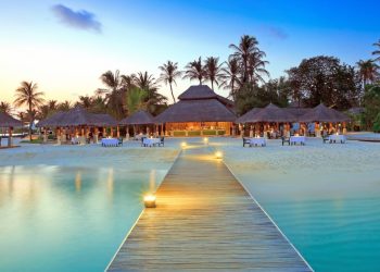 The Rise of Wellness-Focused Social Spaces