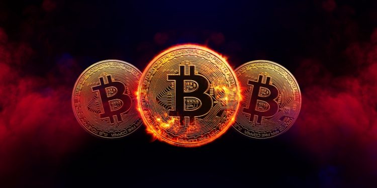 Why Profitability Calculators Matter in Crypto Mining