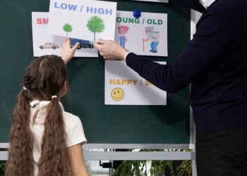 Business strategy support for schools