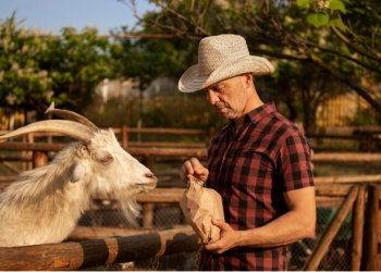 Behind the Launch of GOAT38 in Malaysia